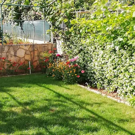 Apartman Silva Pula